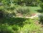Wildlife Gardens: First Unitarian Universalist Church