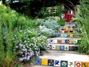 IMG 0123
