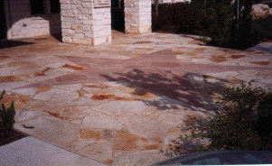 saddlecreek star copy